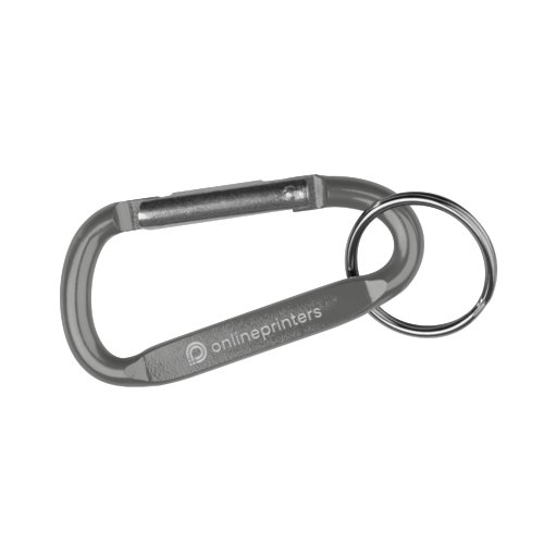 Grauer Metall-Schlsselanhnger im Karabiner-Stil mit Schlsselring.