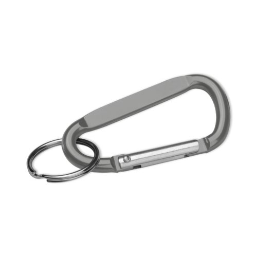 Grauer Metall-Schlsselanhnger mit Karabinerverschluss.
