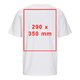 Weisses Baumwoll-T-Shirt mit kurzen rmeln und Rundhalsausschnitt, Unisex-Schnitt.