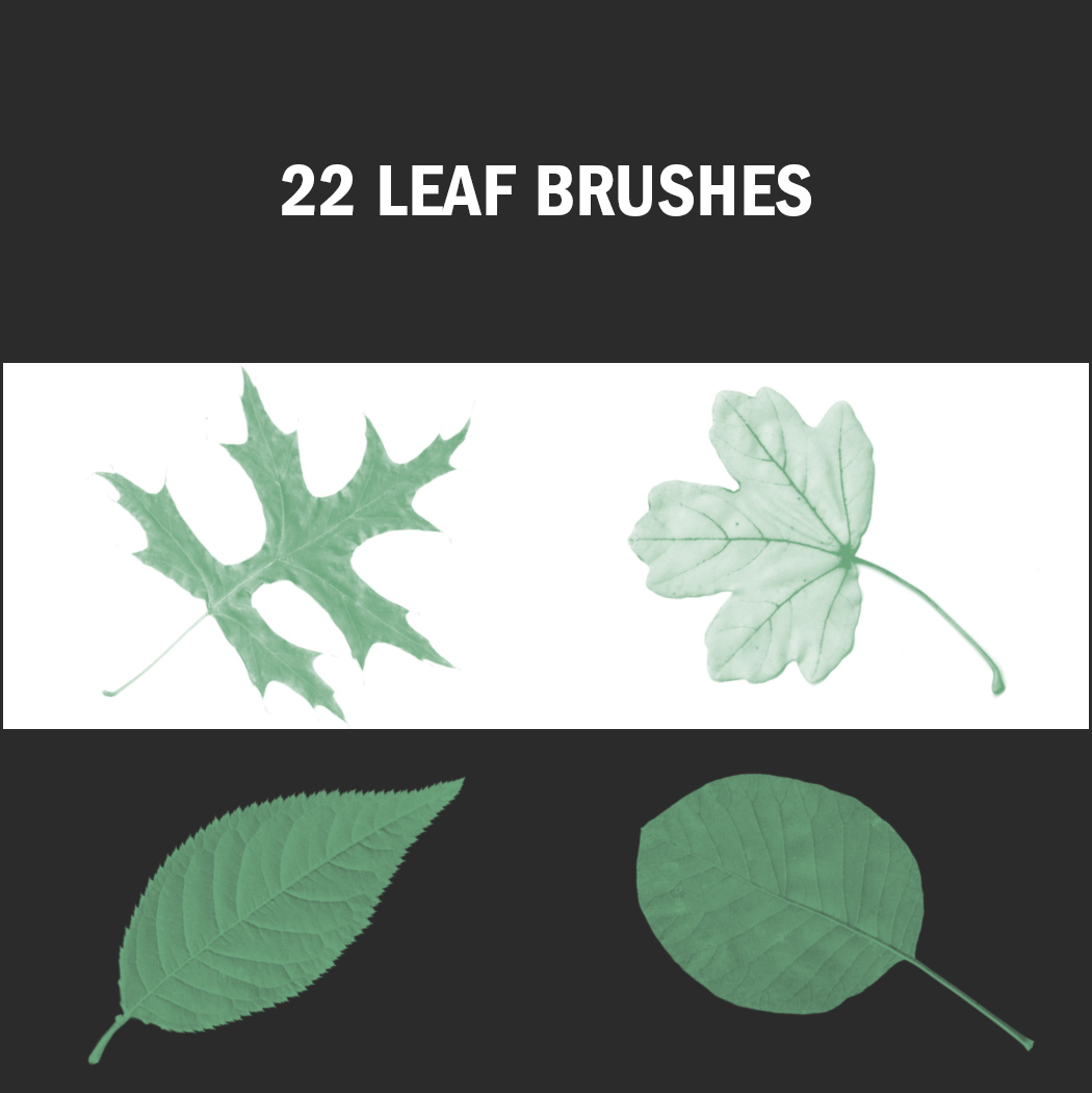 Herbstliche Designs lassen sich mit diesen kostenlosen Leaf Brushes erstellen.