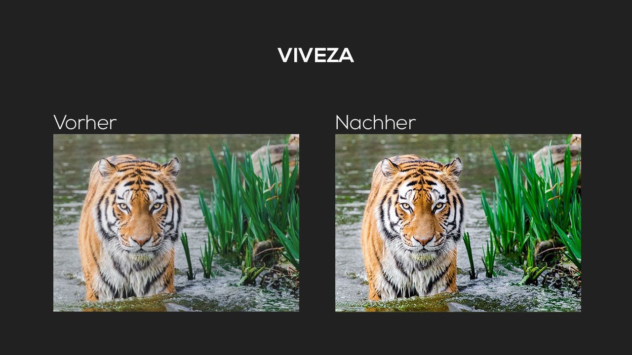 Photoshop-Tutorial: Google Nik Collection - Viveza